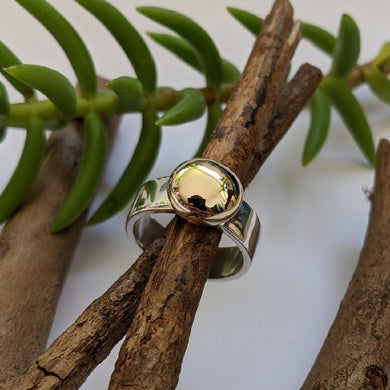 Sterling Silver and 9ct yellow gold blob ring size Q
