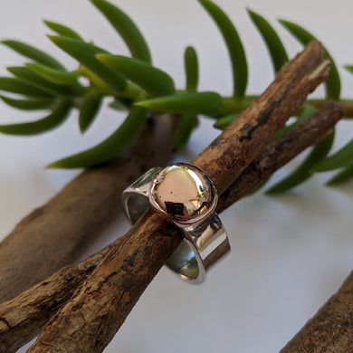 Sterling Silver and 9ct rose gold blob ring R